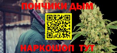 шишки Тулун