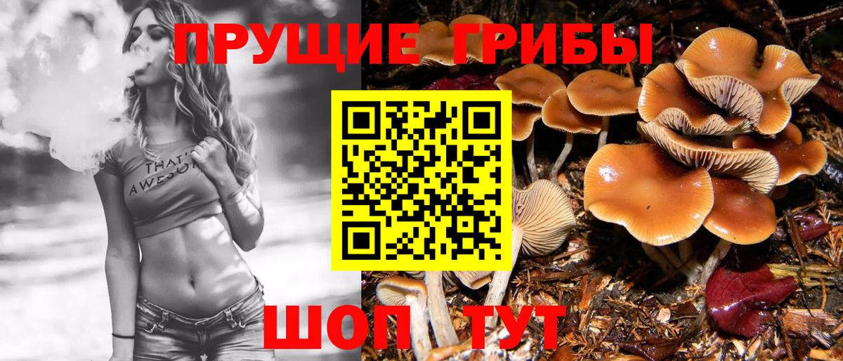 Галлюциногенные грибы ЛСД Архангельск